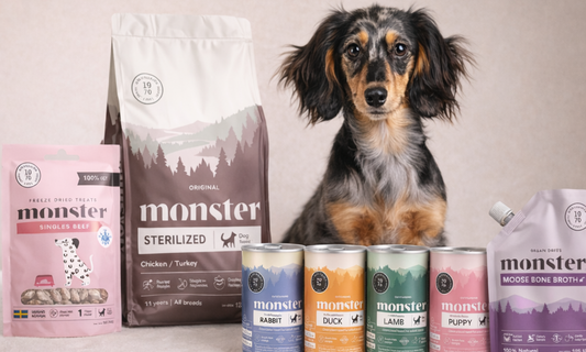 Giver du din hund det bedste foder?