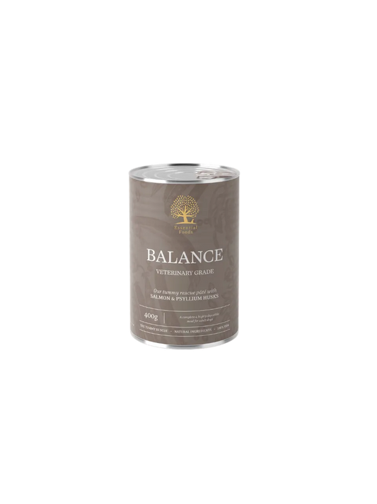 Essential Foods Balance Paté Vådfoder med Laks til Hunde med Sart Mave – 400 g