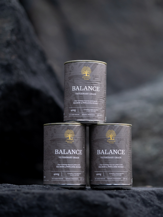 Essential Foods Balance Paté Vådfoder med Laks til Hunde med Sart Mave – 400 g