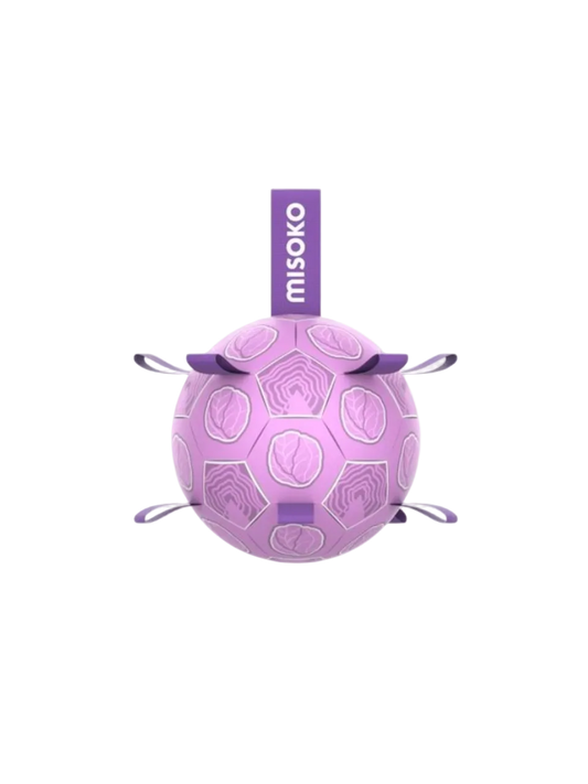 Misoko Oppustelig Hundebold inkl. Pumpe – 30 cm