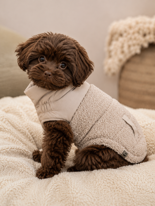 Trixie Ajou Vinterjakke til Hunde – Beige, Str. XS