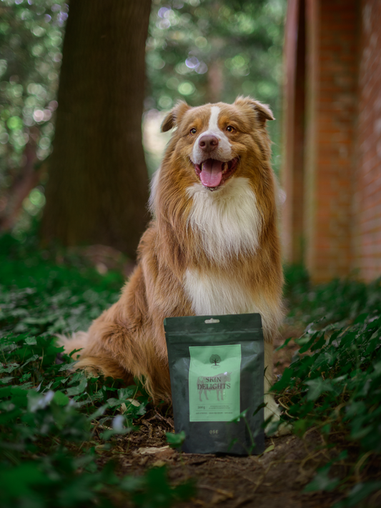 Essential Foods Beef Skin Delights Oksehud til Hunde – 5 stk.