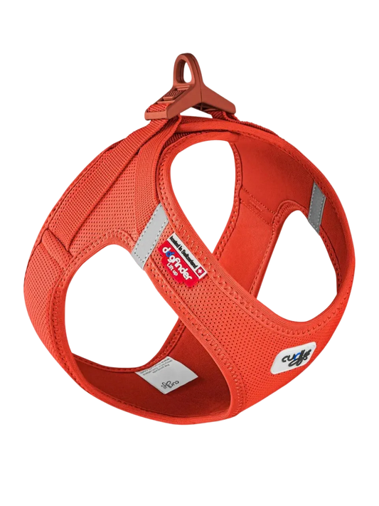 Curli Vest Sele Clasp Air-Mesh til Hunde – Orange