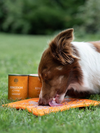Essential Foods Kingdom Living Paté Vådfoder med Vildsvin & Gris til Hunde – 400 g