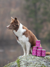 Essential Foods Highland Living Paté Vådfoder med And & Kalkun til Hunde – 400 g