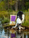 Essential Heritage Highland Living Kornfrit Tørfoder med Kalkun, Fjervildt & Angus Oksekød til Små Hunde – 2,5 kg