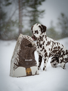Essential Heritage Balance Skåne Tørfoder med Kalkun til Små Hunde – 2,5 kg