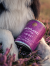 Essential Foods Highland Living Paté Vådfoder med And & Kalkun til Hunde – 400 g