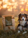 Essential Heritage Eternal Living Kornfrit Skåne Tørfoder uden Kød til Store Hunde – 10 kg