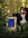 Essential Heritage Nautical Living Kornfrit Tørfoder med Fisk & Omega-3 til Store Hunde – 10 kg