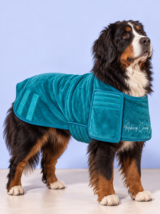 Ashley Craig Mikrofiber Tørredækken til Hunde – Turkis