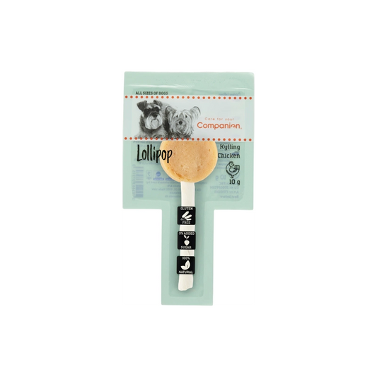Companion Lollipop Hundegodbid med Kylling – 10 g