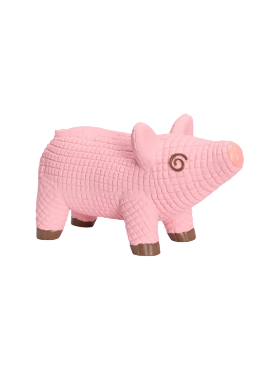 Companion Latex Pivedyr til Hunde – Gris