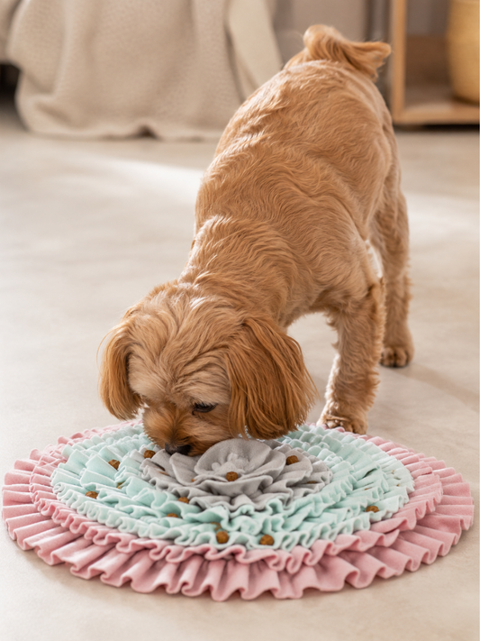Trixie Snusemåtte til Hunde – Foder & Godbidder, Ø35 cm
