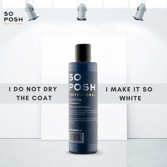So Posh So White Shampoo til Hunde – Lilla, Flere Varianter