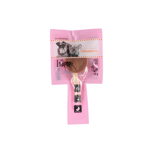 Companion Lollipop Hundegodbid med And – 10 g