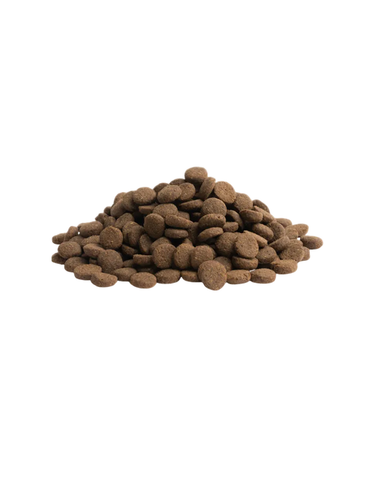 Essential Heritage Older Kornfrit Tørfoder med Kylling, And, Laks & Ørred til Store Seniorhunde – 10 kg