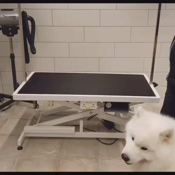Elektrisk trimmebord PRO højdejusteres med fodpedal imens Samojed står derpå.